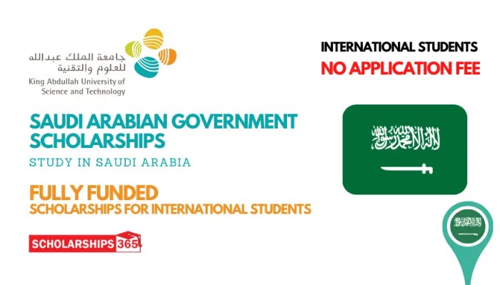 King abdullah university of science and technology scholarship s3 3