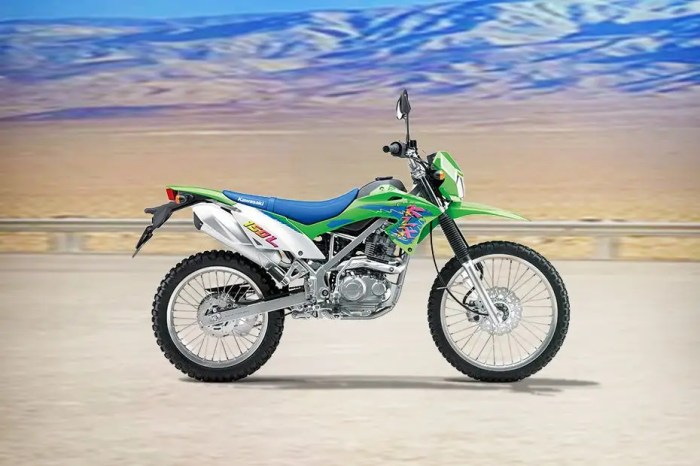 Kawasaki klx140l review