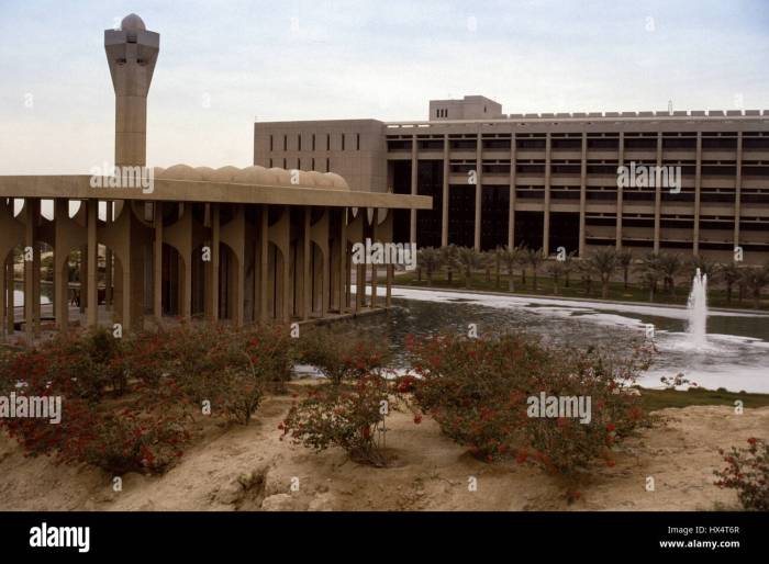 King fahd university of petroleum and minerals saudi arabia s3 3