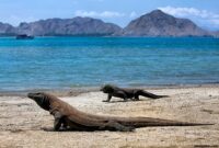 Sejarah pulau komodo