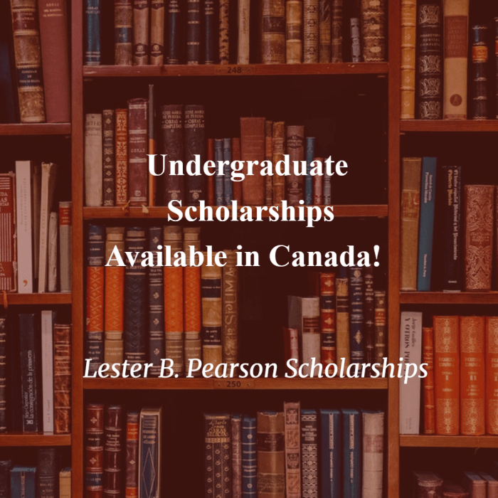 Scholarship lester pearson