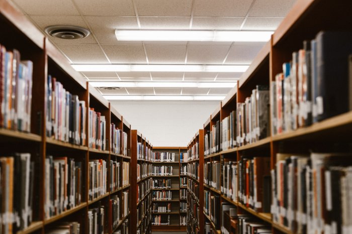 Lebih bagus universitas atau sekolah tinggi