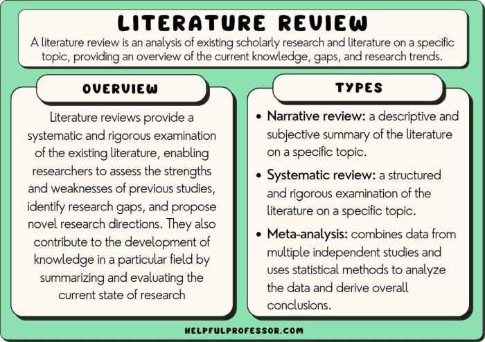 Contoh artikel literature review