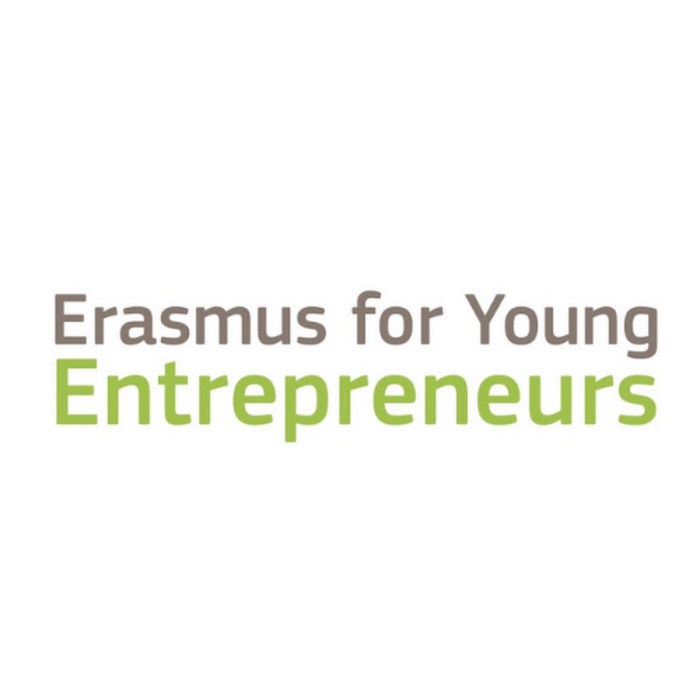 Erasmus master in impact entrepreneurship emmie s2 1