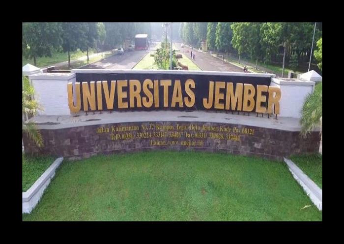 Universitas yang ada di jember