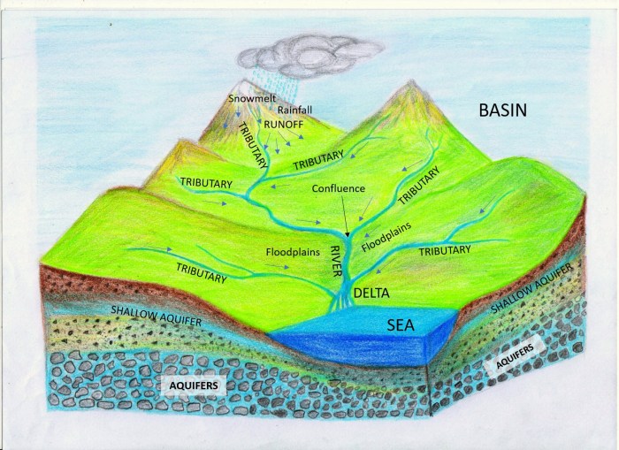 Bahasa inggris baskom