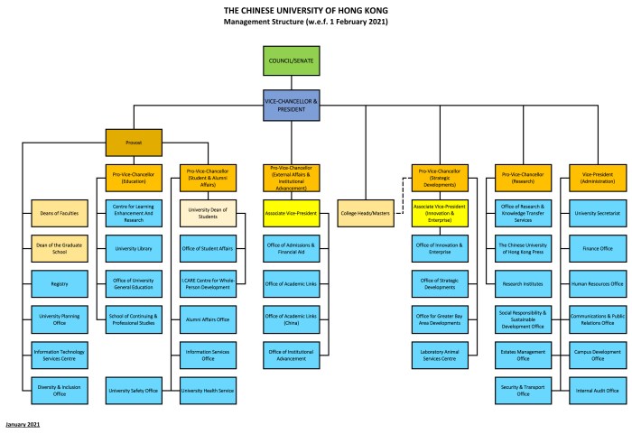 Organisasi universitas