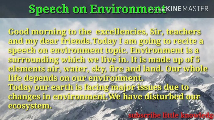 Speech environment day environmental world english writing june