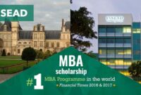 Beasiswa s2 mba di insead perancis