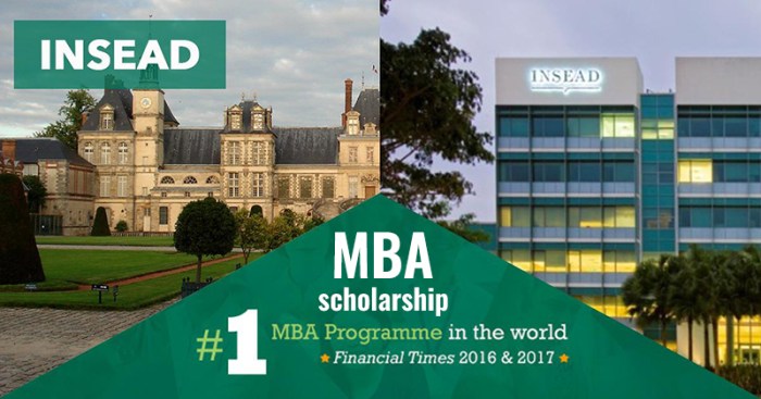 Beasiswa s2 mba di insead perancis