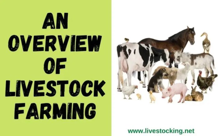 Livestock