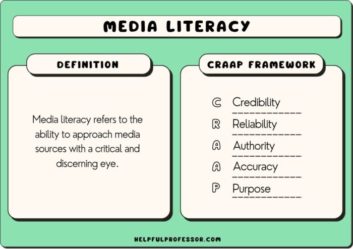 Webwise competencies