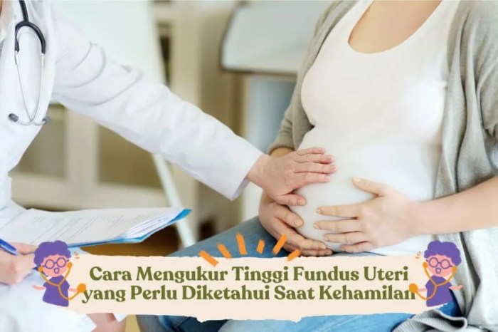 Cara menghitung tinggi fundus uteri sesuai umur kehamilan