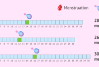 Cara menghitung masa ovulasi untuk haid tidak teratur