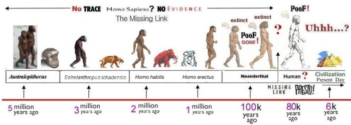 Evolution wikipedia man age wiki timeline evolutionary history species introduction human tree humans stamboom years van life haeckel time vertebrates