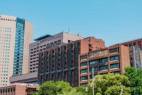 Tokyo university dental medical hospital wing larger version click