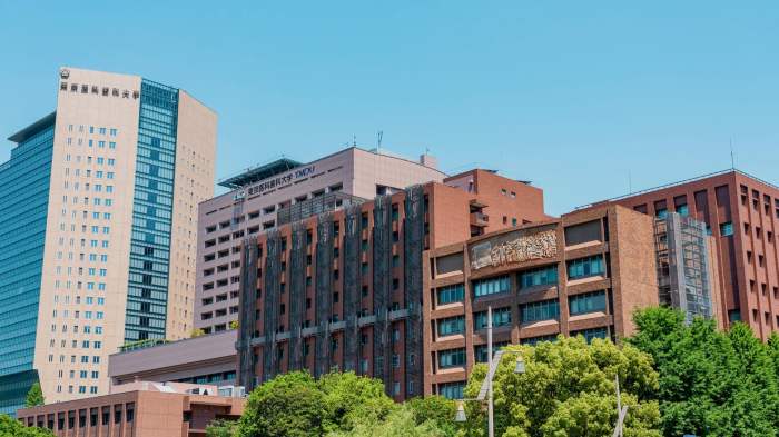 Tokyo university dental medical hospital wing larger version click