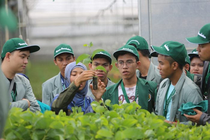 Beasiswa tanoto foundation untuk mahasiswa s1