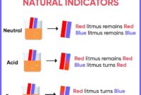 Contoh soal indikator asam basa