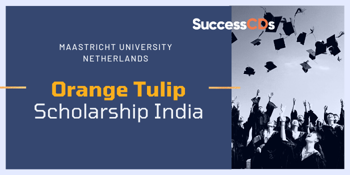 Orange tulip scholarship s2 1