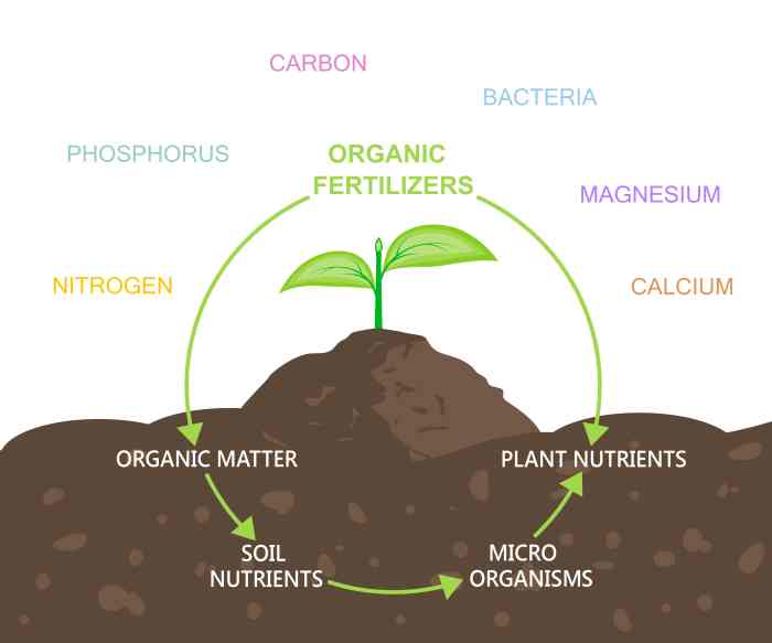 Background soil fertility historical slideshare