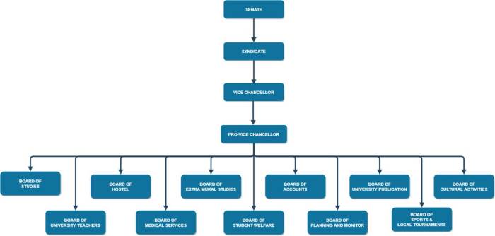 Organizational academic programs jouf flowchart colleges