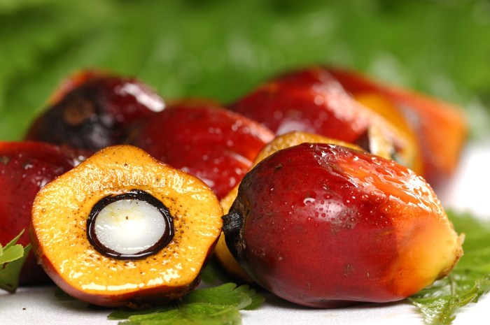 Palm oil palmolein food