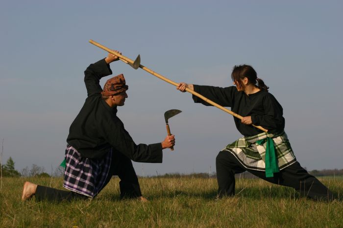 Sejarah silat di indonesia