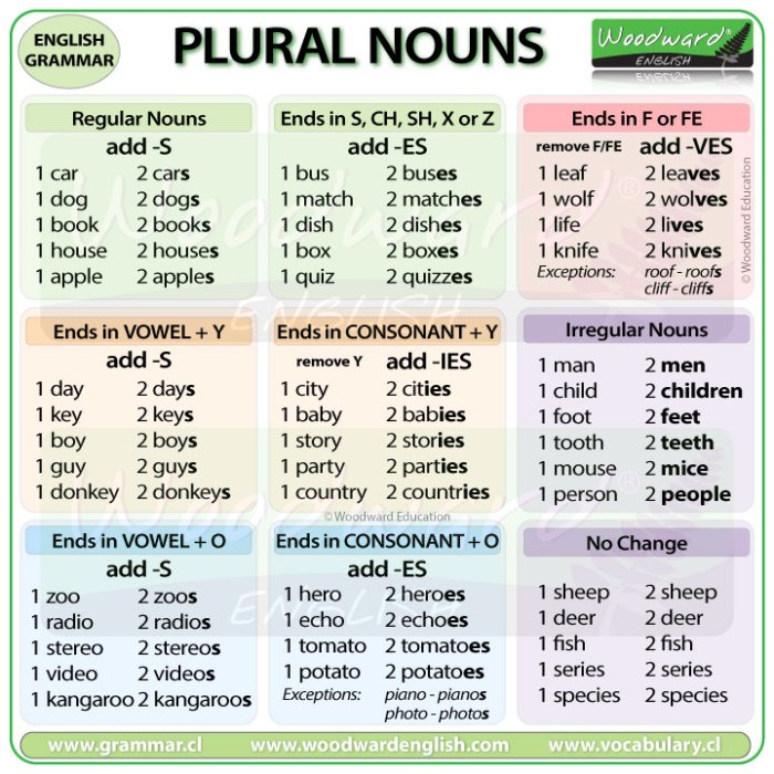 Contoh soal singular and plural