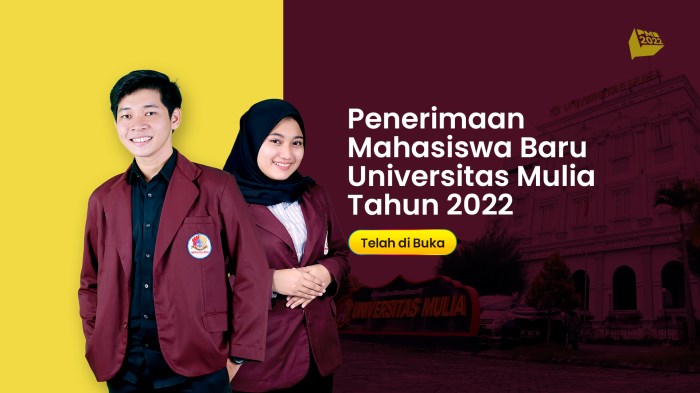 Universitas kartamulia