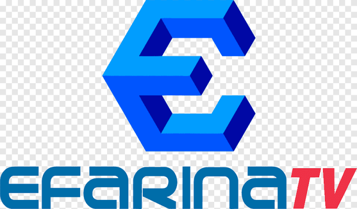 Logo universitas efarina