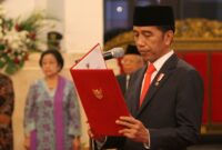 Sejarah jokowi