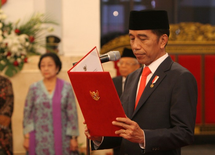 Sejarah jokowi