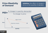 Elasticity demand price calculating interpreting