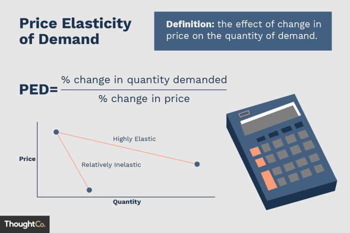 Elasticity demand price calculating interpreting