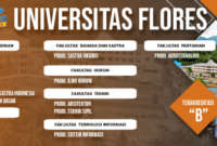 Universitas flores ende