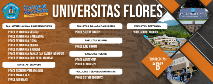 Universitas flores ende