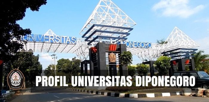 Fakultas di undip