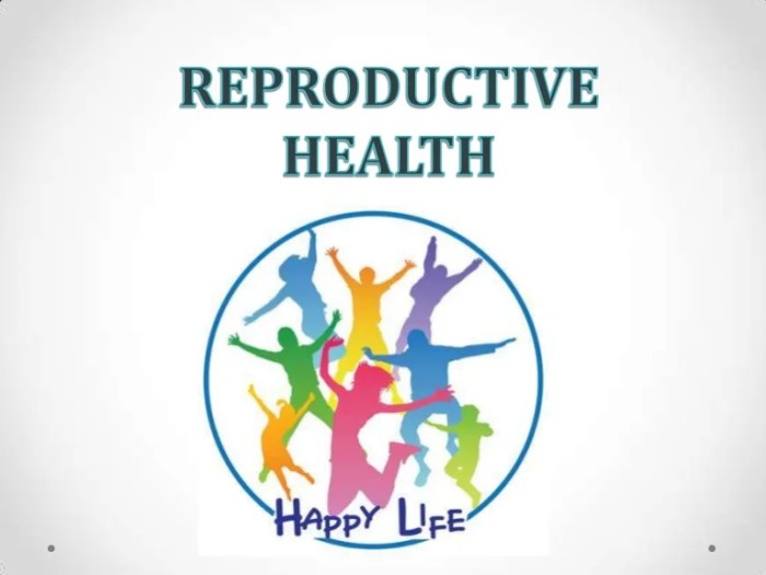 Reproductive health sexual adolescent 2011 developing countries may factors protective risk importance components share friday responsible parenthood