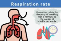 Cara menghitung frekuensi nafas