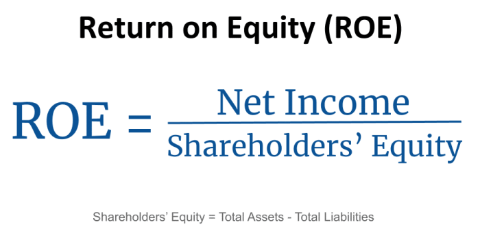 Equity roe return calculate