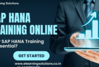 Beasiswa pelatihan coding dari hana global it academy