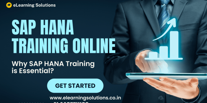 Beasiswa pelatihan coding dari hana global it academy