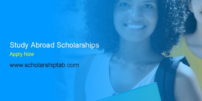 Karen napier scholarship msc investment analysis s2 1