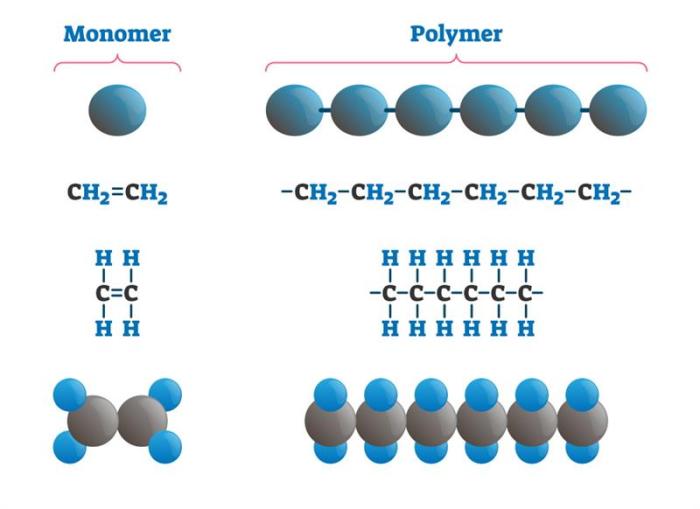 Contoh soal polimeri