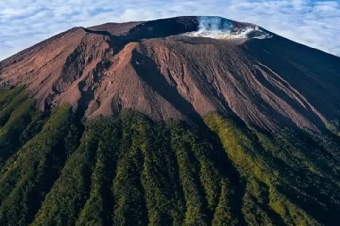 Universitas slamet sri