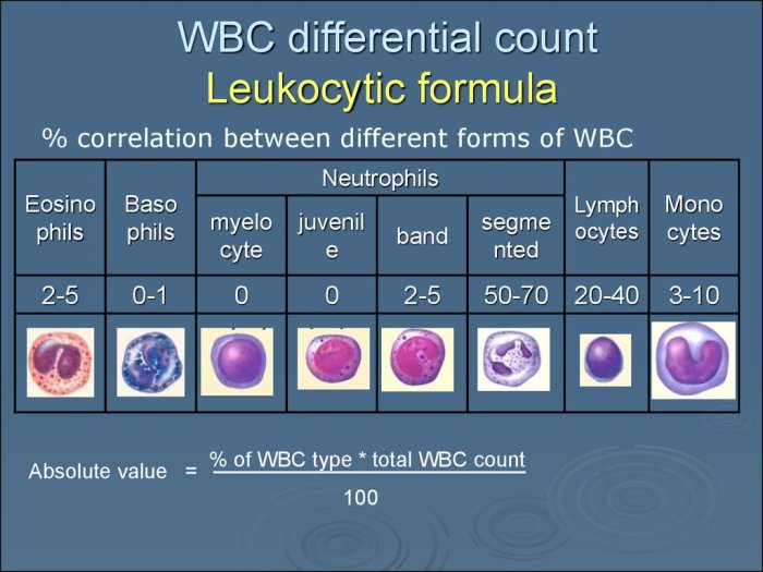 Leukocytes recognizing