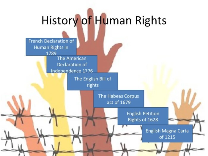 Sejarah ham di dunia