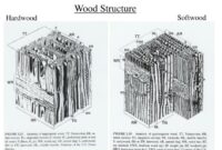 Contoh soal struktur kayu