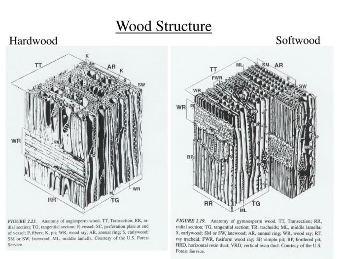 Contoh soal struktur kayu